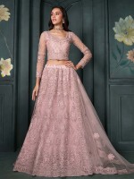 Pastel Pink Premium Net Lehenga Choli